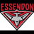 Essendon Bombers