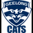 Geelong Cats